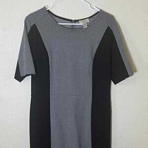 Ann Taylor LOFT Women's Size 10 Colorblock Sheath Dress Gray Black Short Sleeve